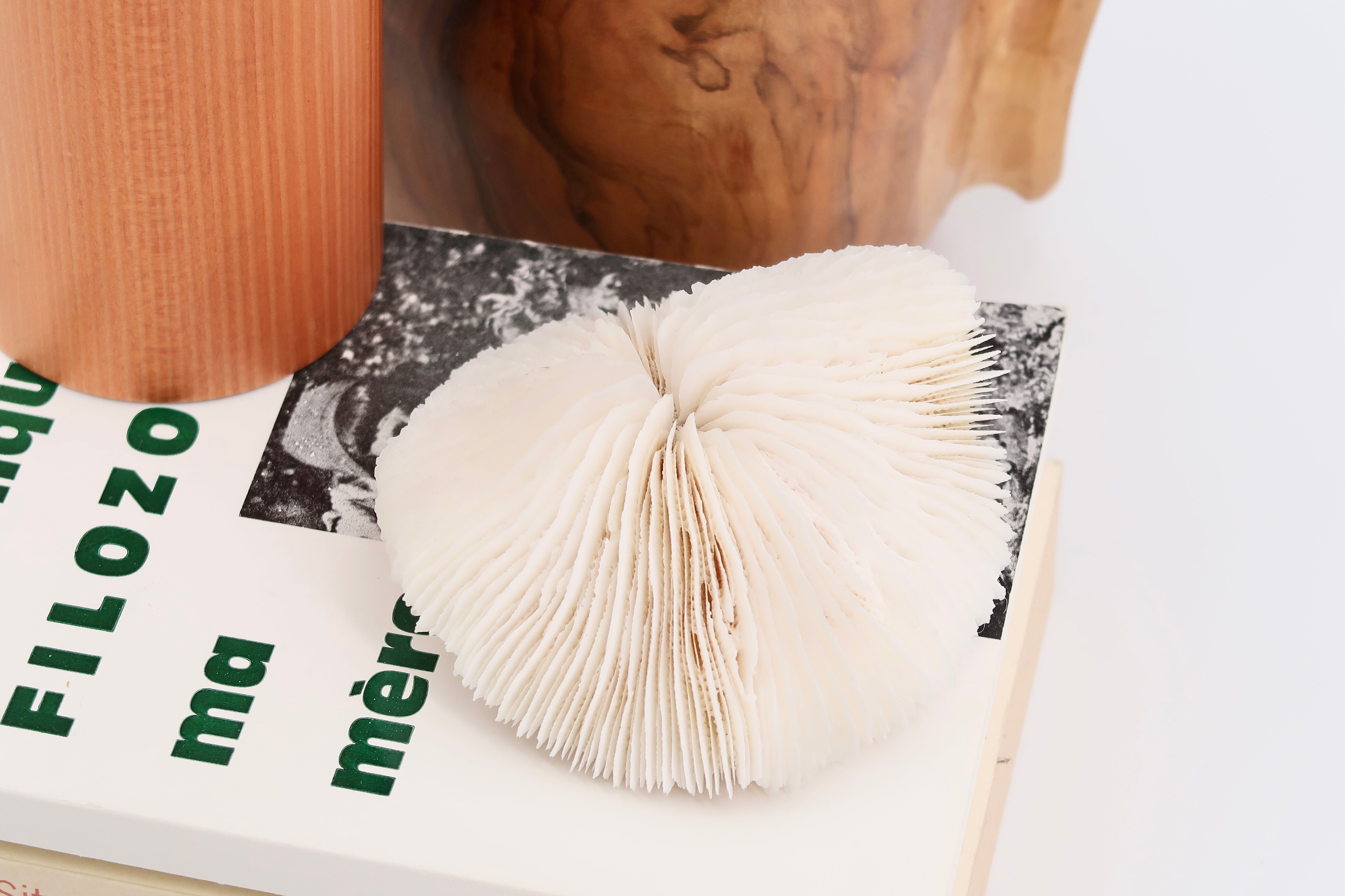 Corail blanc naturel, années 70