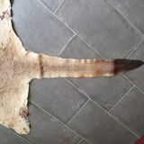 Kangaroo skin