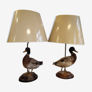 Paire de lampe canards naturalisés vintage
