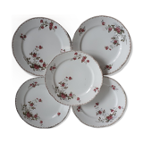 5 flat plates Iron Earth