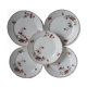 5 flat plates Iron Earth