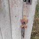 Old wooden door 110x97 cm Vintage
