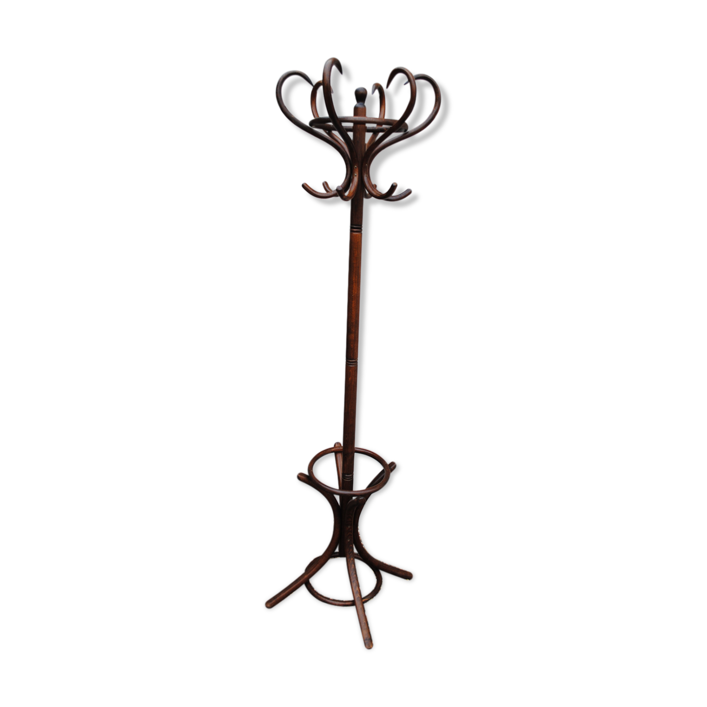 Parrot coat rack wood curved 1950s