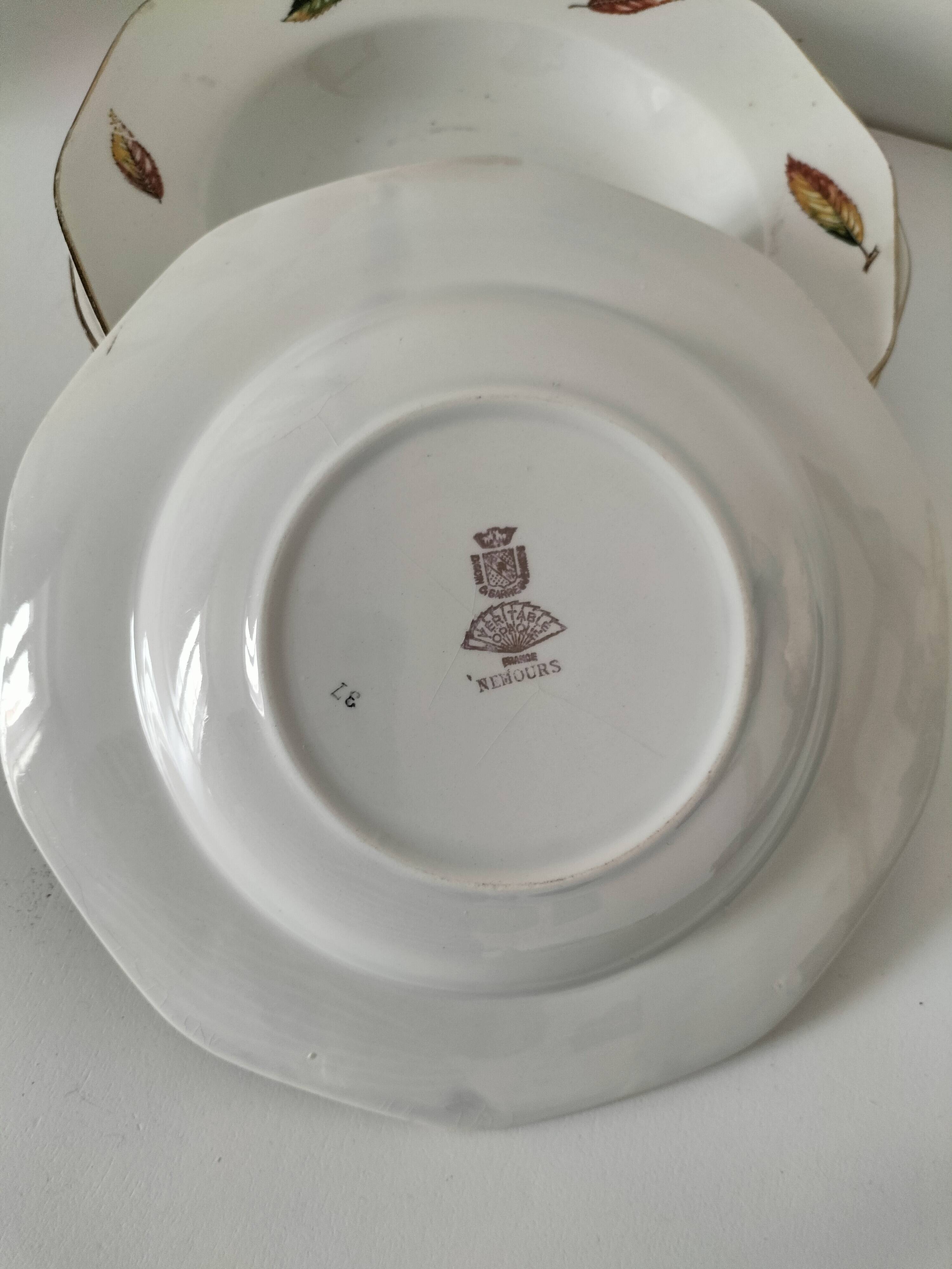 7 assiettes plates et creuses en faïence opaque Digoin Sarreguemines Nemours