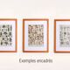 Old engraving 1922, Beans, varieties, soup, vegetables, farm • Lithograph, original illustration