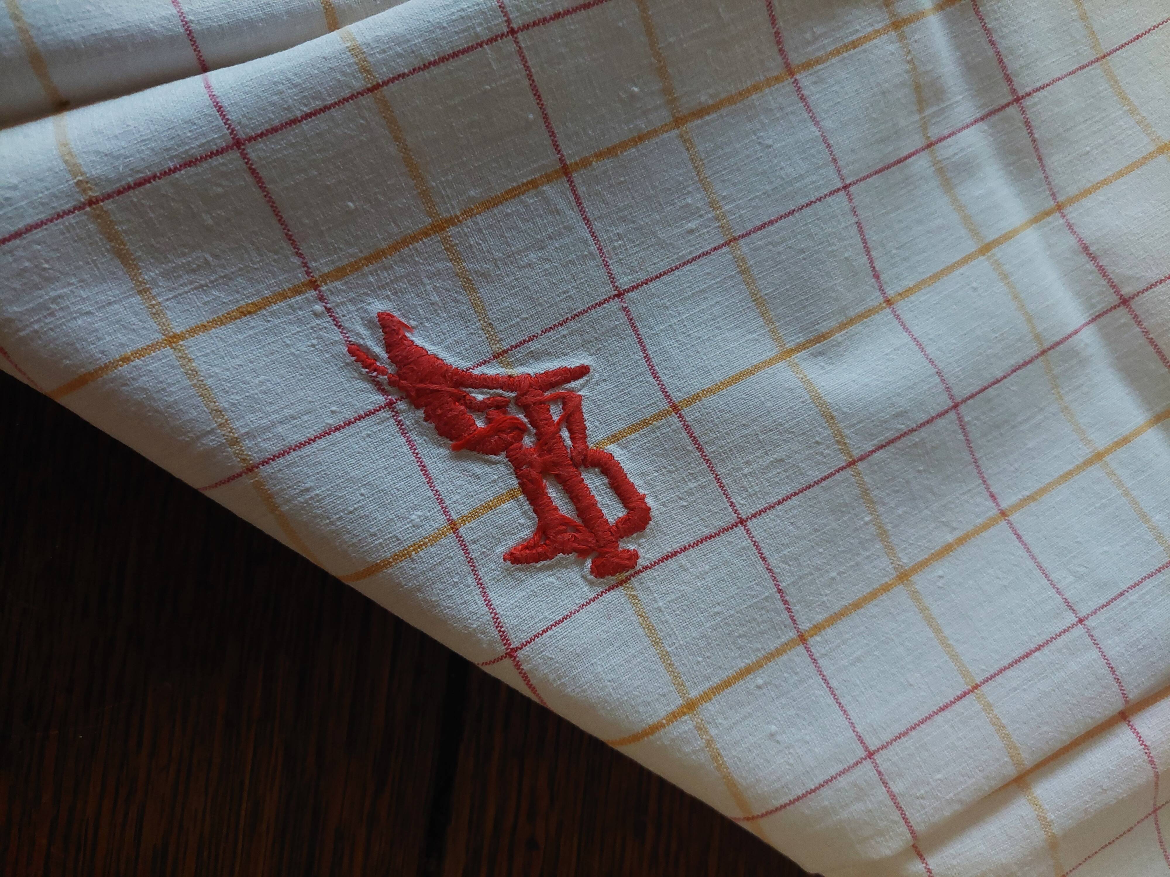 Napkins set of two checkered cotton monogram LR 53 X 57 cm