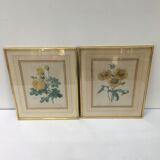 Pair of flower engravings by P.J. Redouté