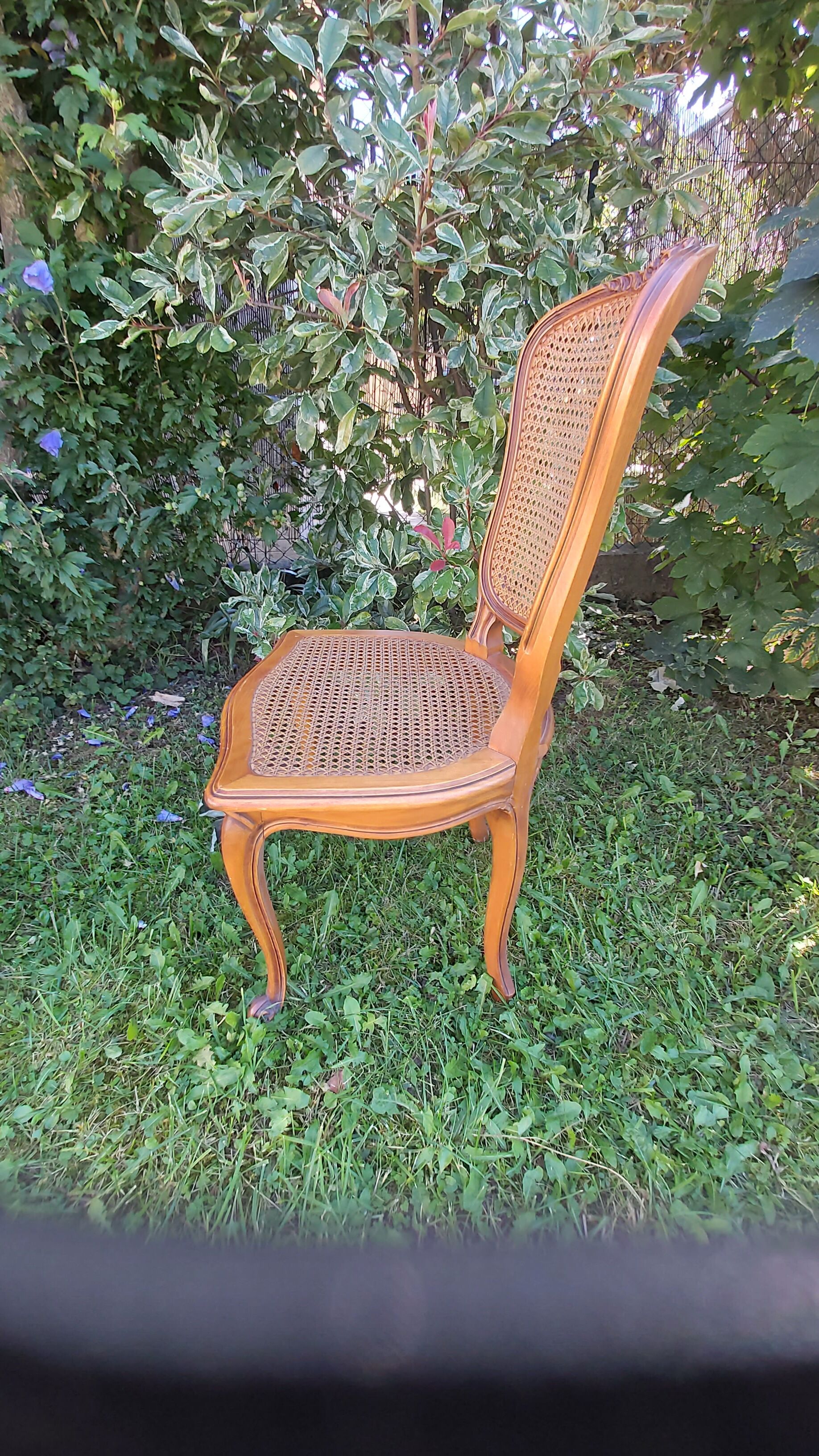Set of three regency cane chairs