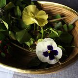 Wicker and brass basket