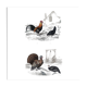 Planche Ornithologique, Buffon 1838 "Coq, Poule, Dindon, Pintade"