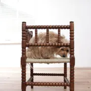 Antique Dutch oak corner chair with turned spindles and new rush seat