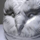 Large owl head cache-pot in vintage Italian white faience.