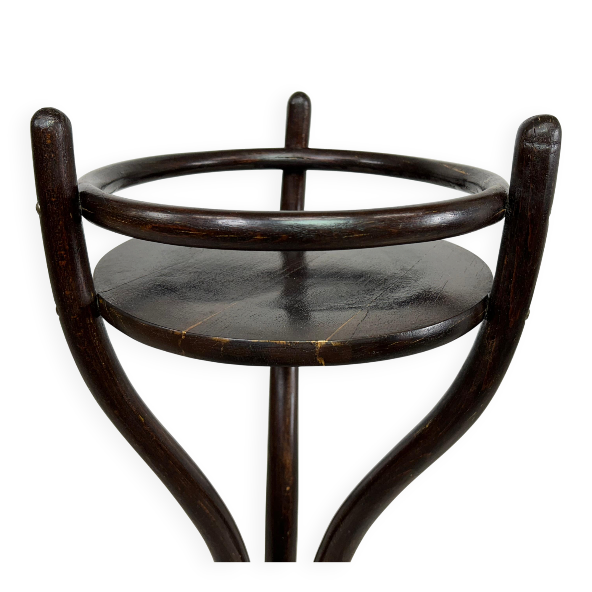 Porte-plante en bois courbé par Thonet