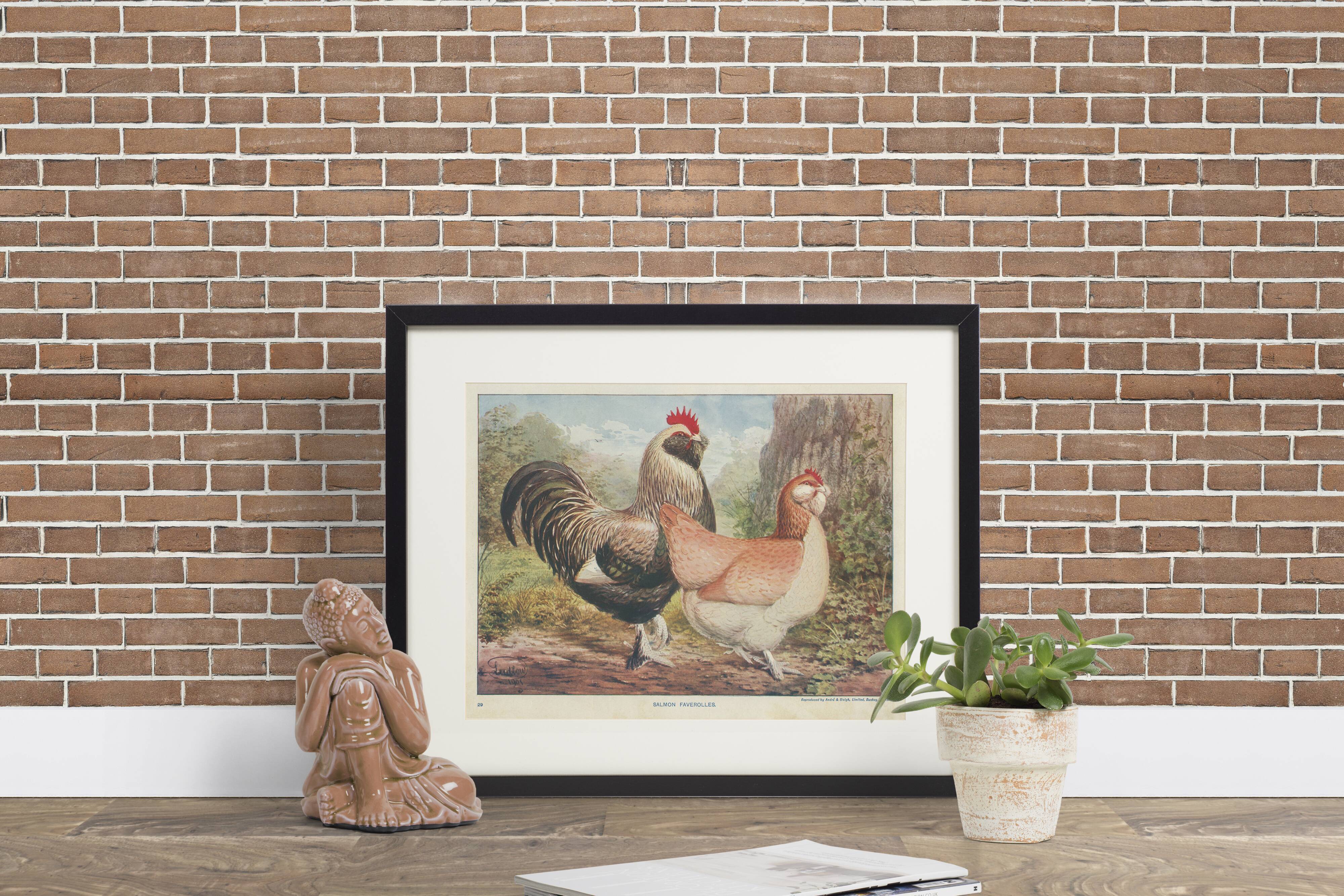 Salmon Faverolles: Natural History Board