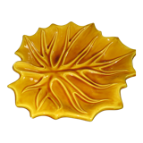 Fruit cut "leaf"