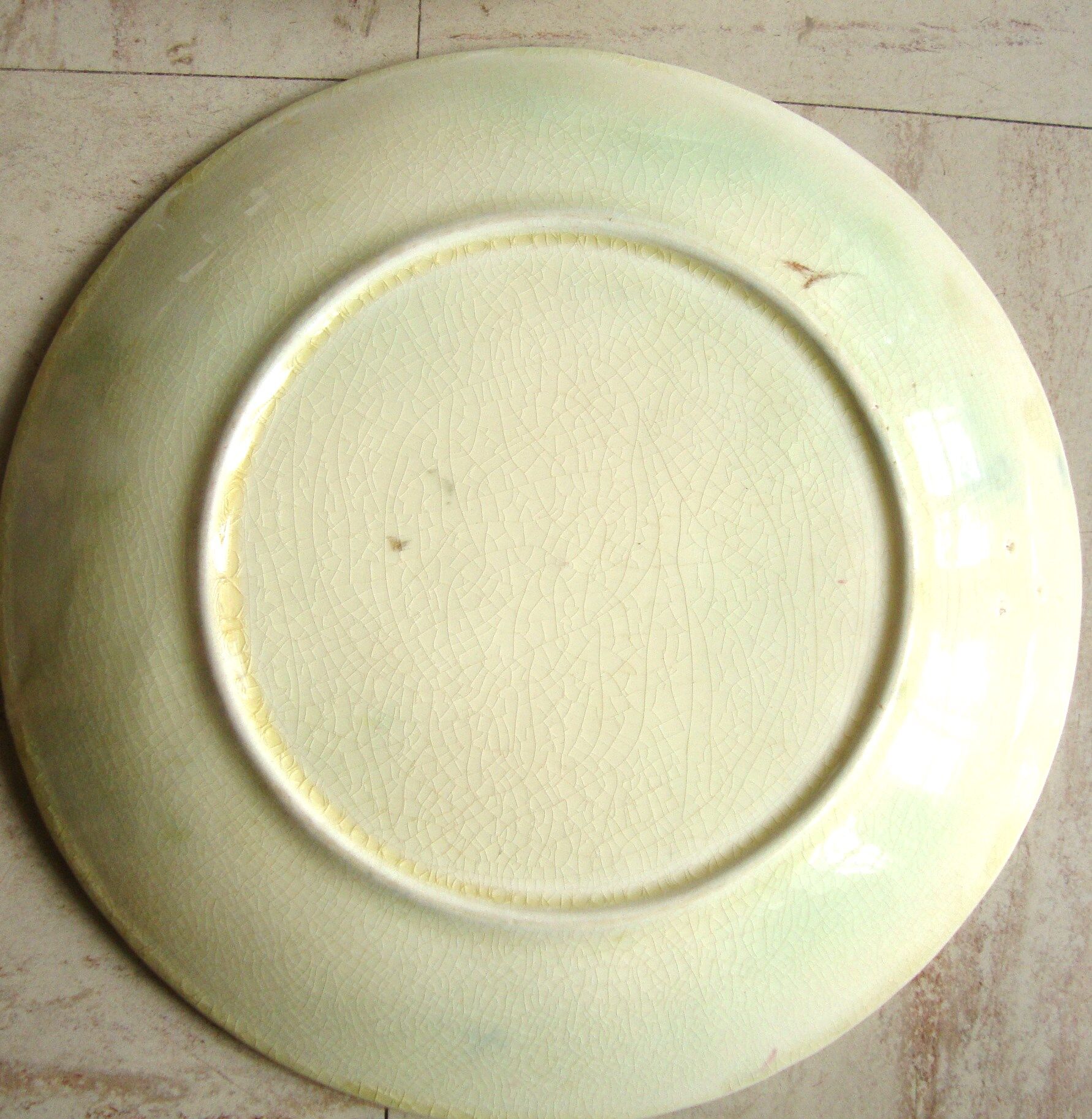 6 plates in slip decoration of roses earthenware of Onnaing