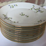 10 dessert plates with blue flowers, golden border in real LF porcelain in good condition.