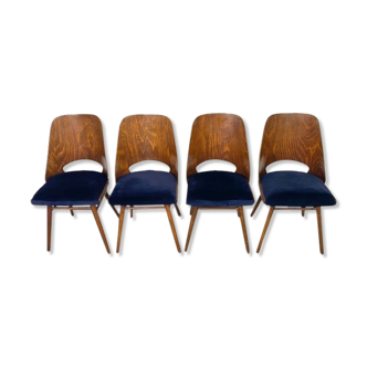 Set 4 chairs ton 514 in walnut and navy blue fabric by Hofman & Haerdtl, Czech mid-century 1960s