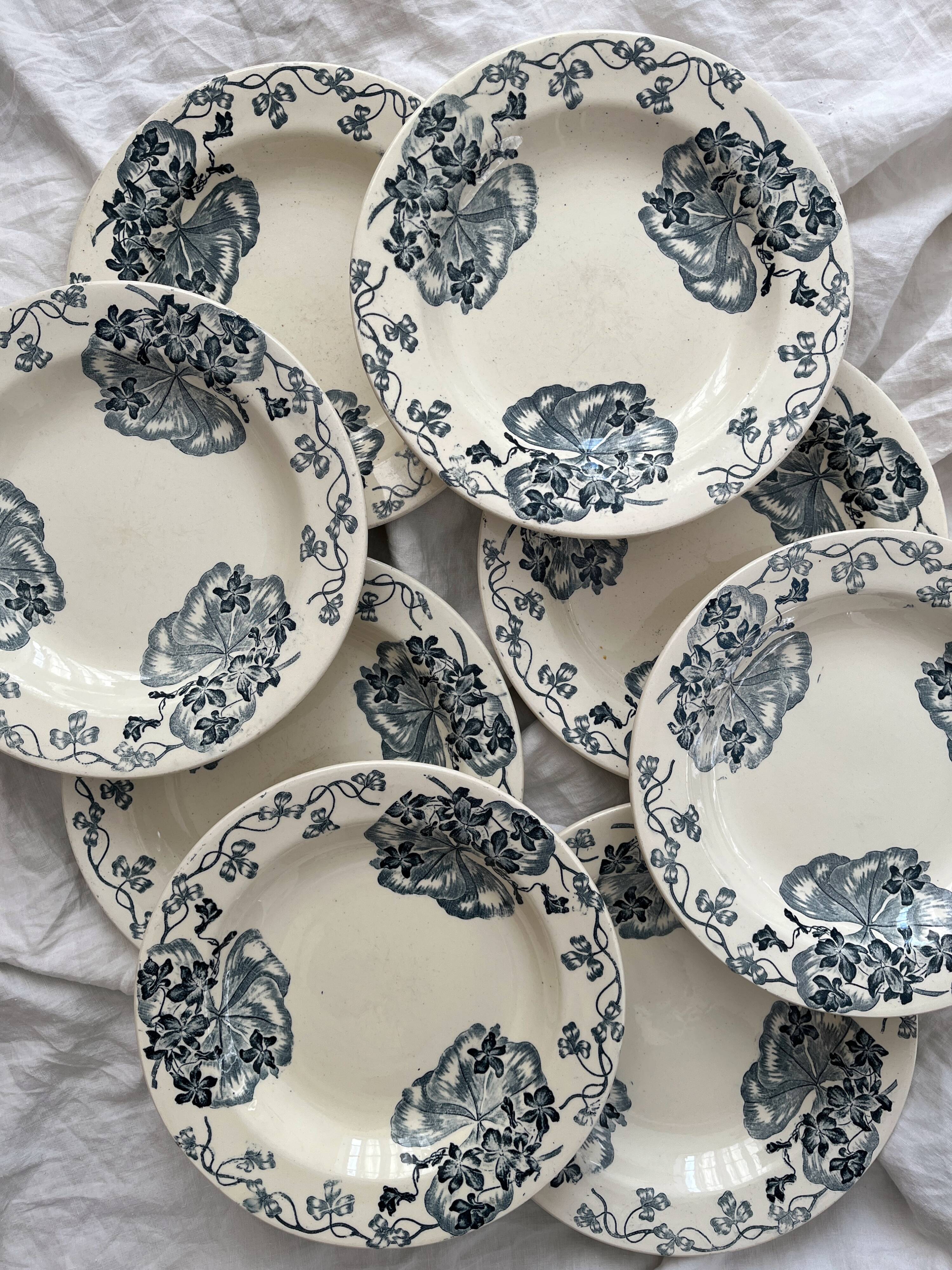 8 ironstone soup plates "Les Violettes" Salins