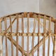 Adult-sized rattan shell chair
