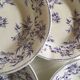 Set of 7 soup plates earthenware of Sarreguemines circa 1870 décor thorns