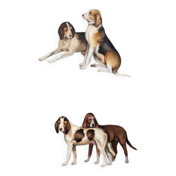 Pendant Tableaux aquarelle XIX° Chiens anglo-artésiens et récri signé H. de L.C.