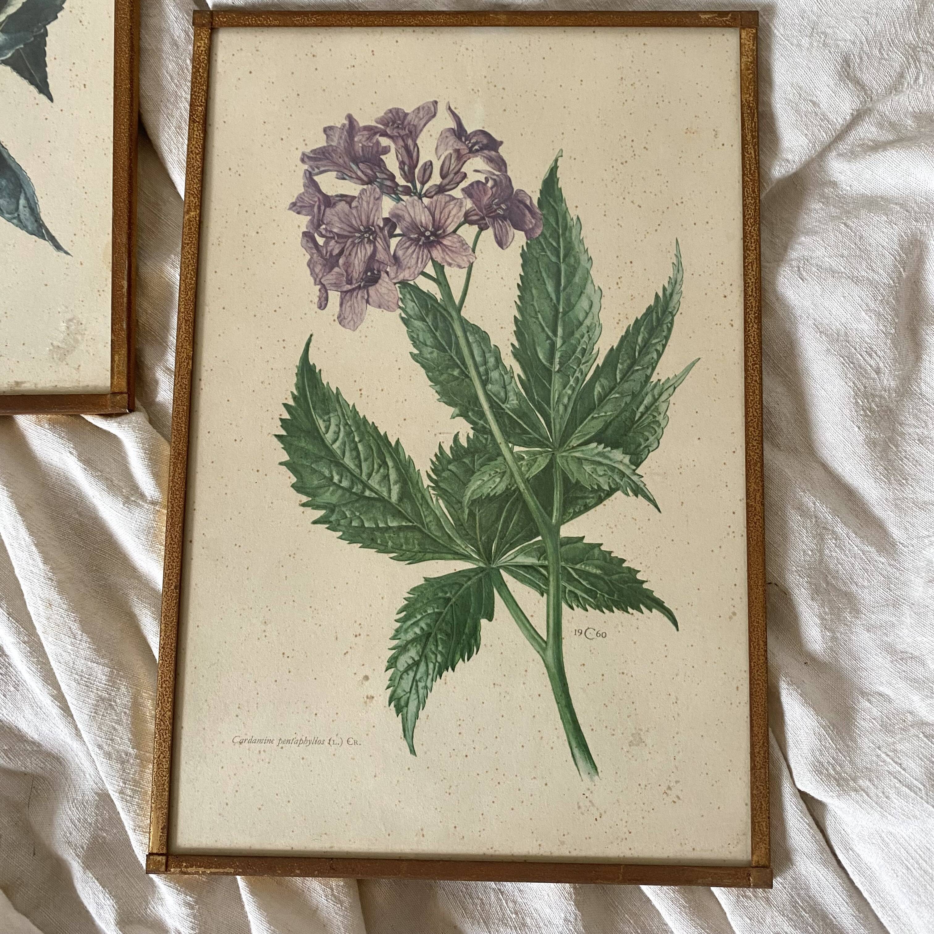 Botanical posters, flower and lemon lithographs, metal frame