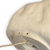 Lamp in moon rock composition