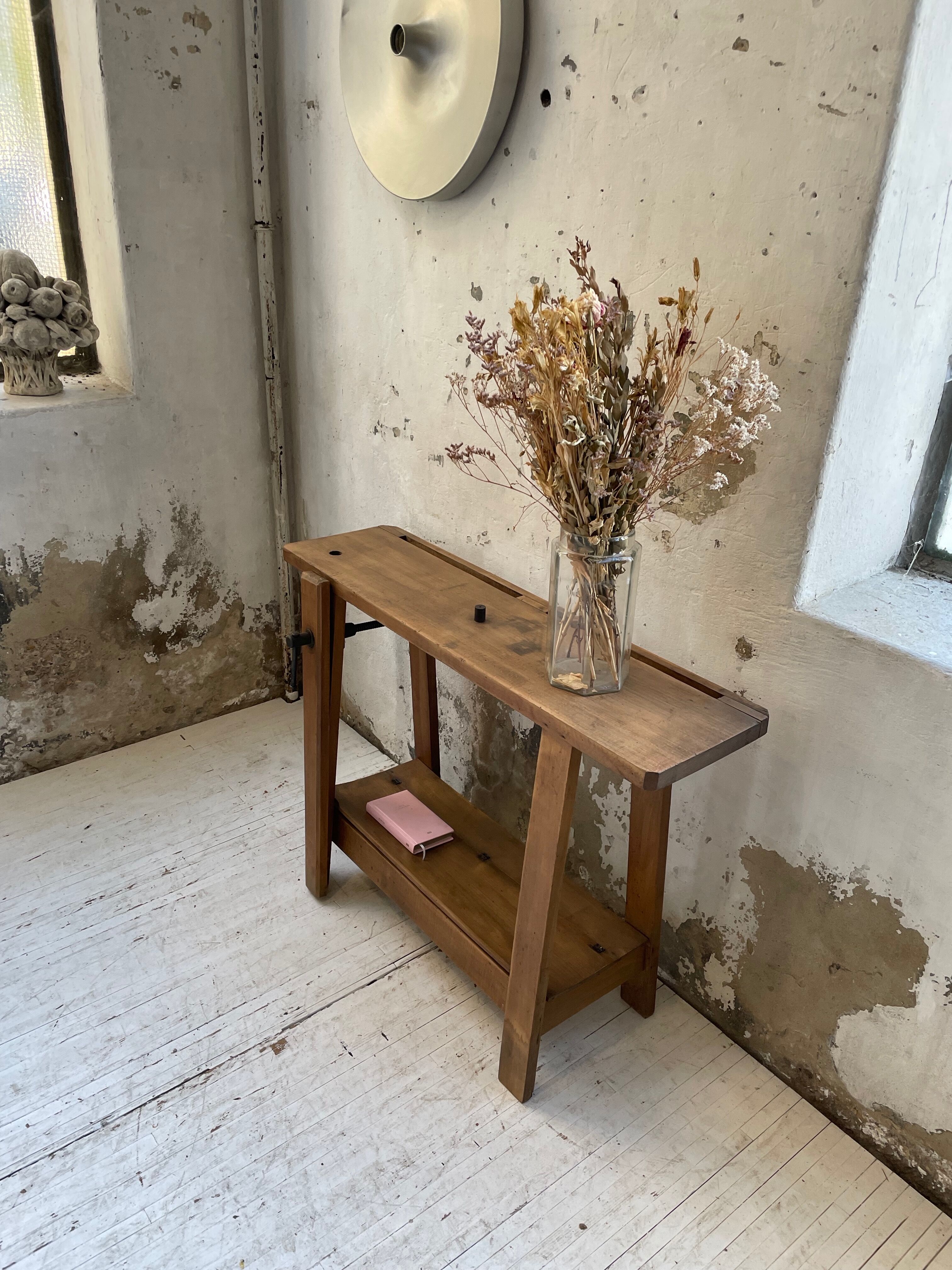 Established XS in cherry tree