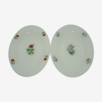 Set of 2 serving dishes