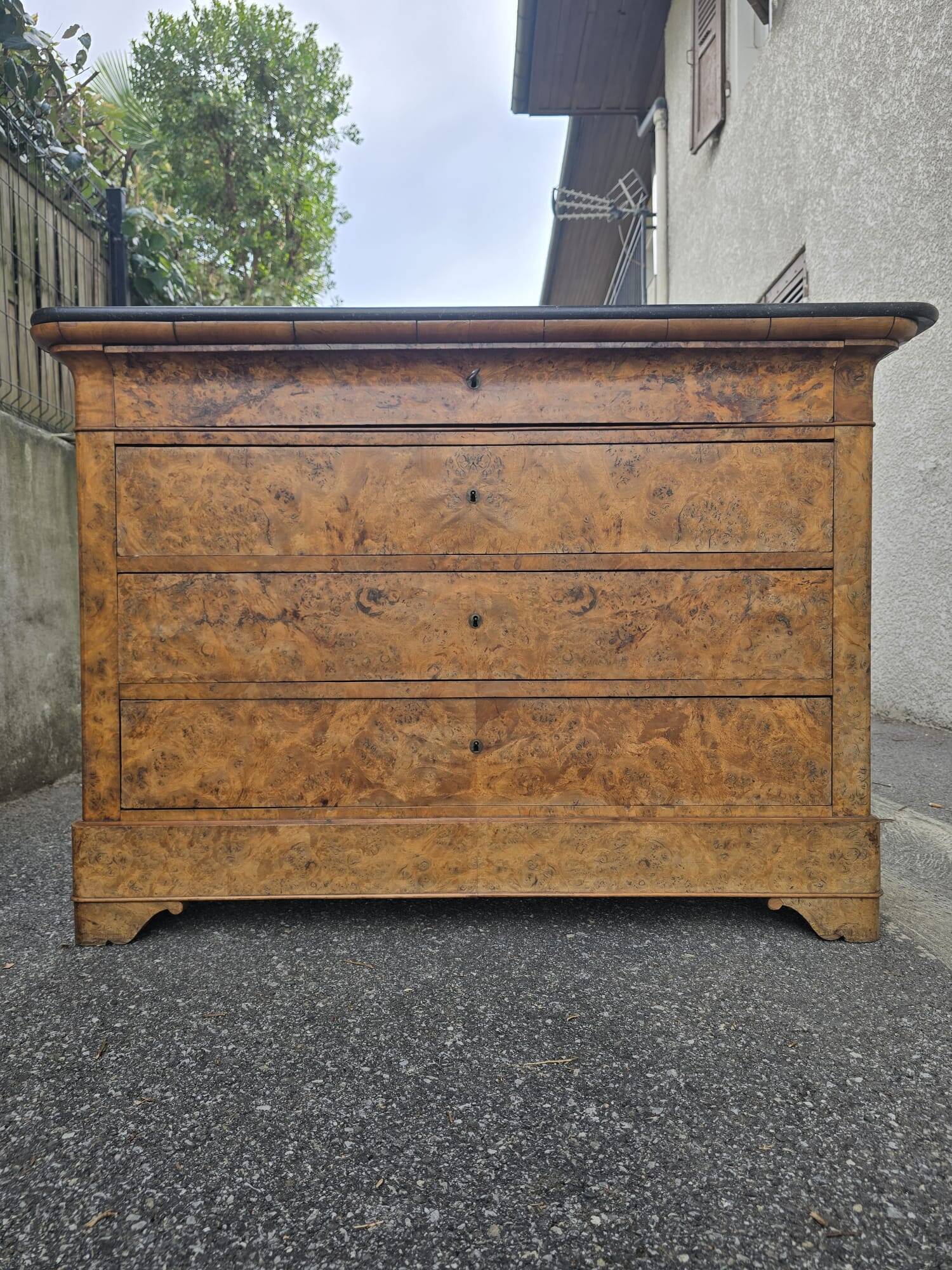 Restoration period commode in walnut burl and black marble – 19th century