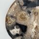 Large empty pocket or dish in petrified wood
