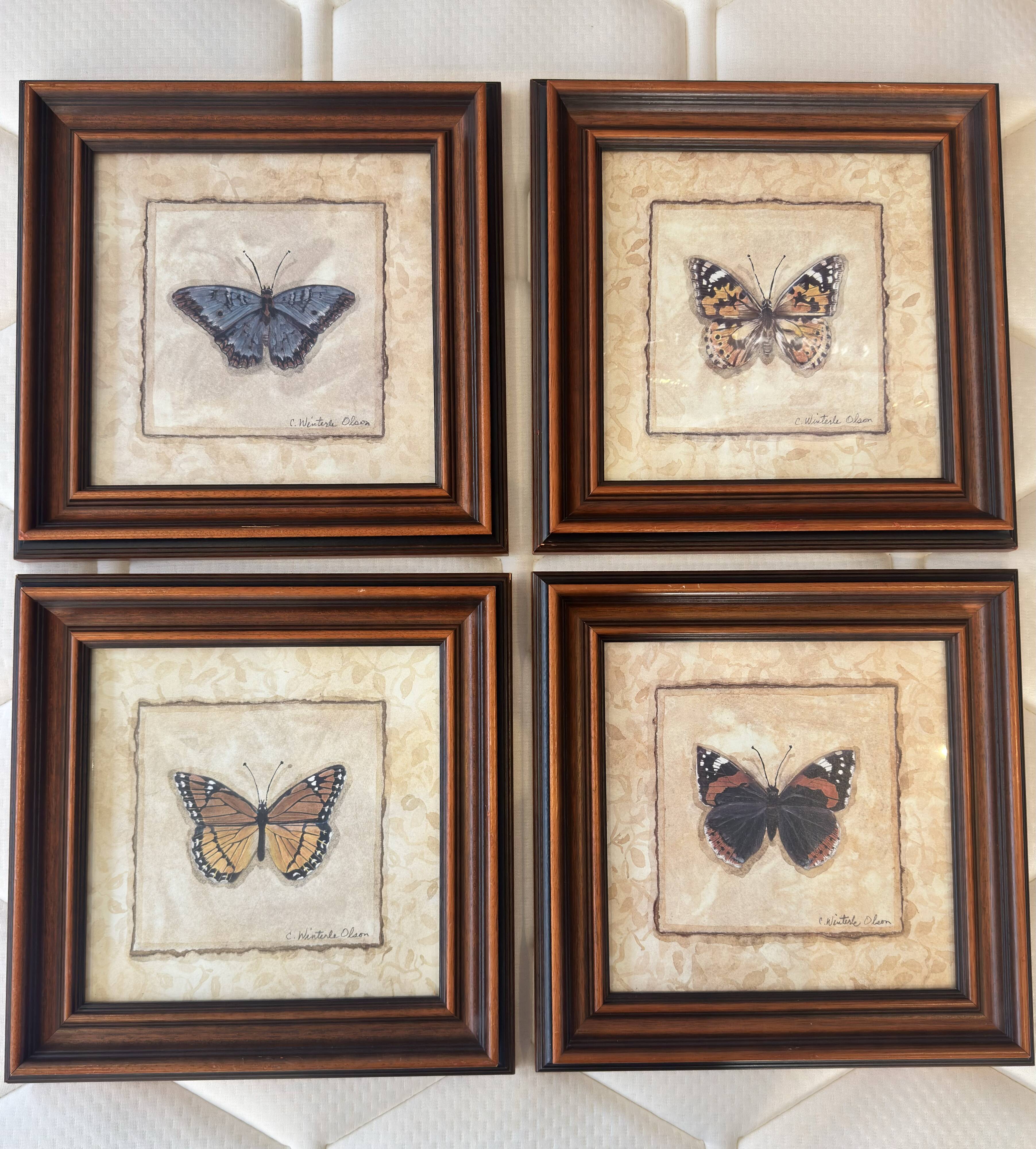 Framed naturalistic illustration of a butterfly, 36 x 36 cm.