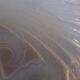 Dish opalescent Bird of paradise signed D'Avesn
