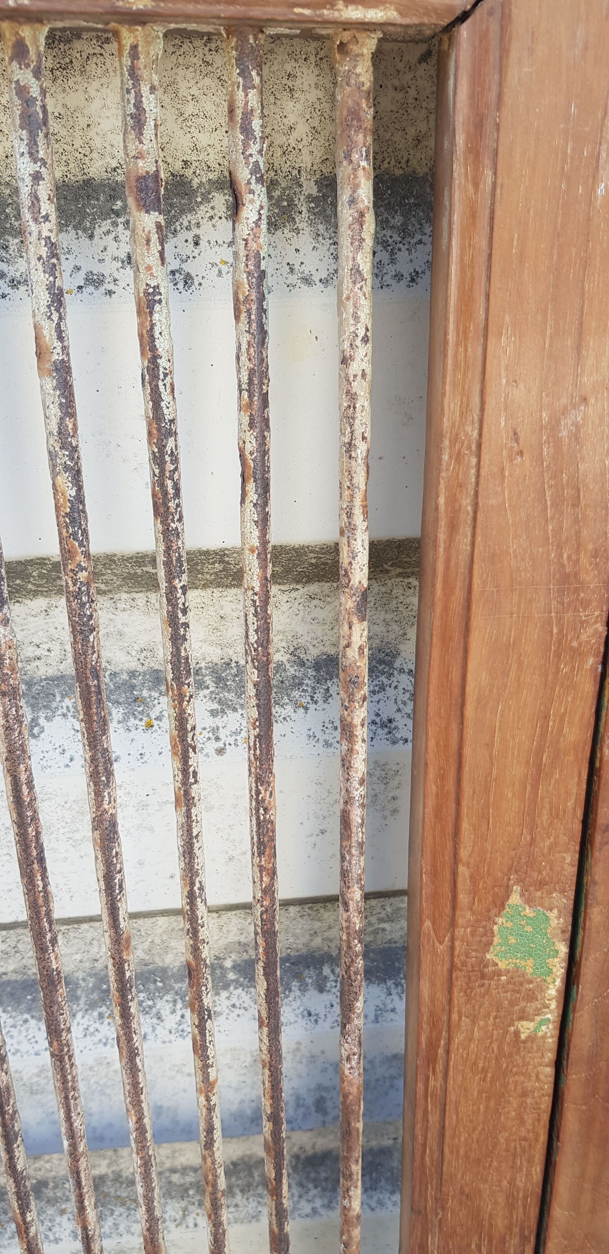 Old teak and wrought iron gate