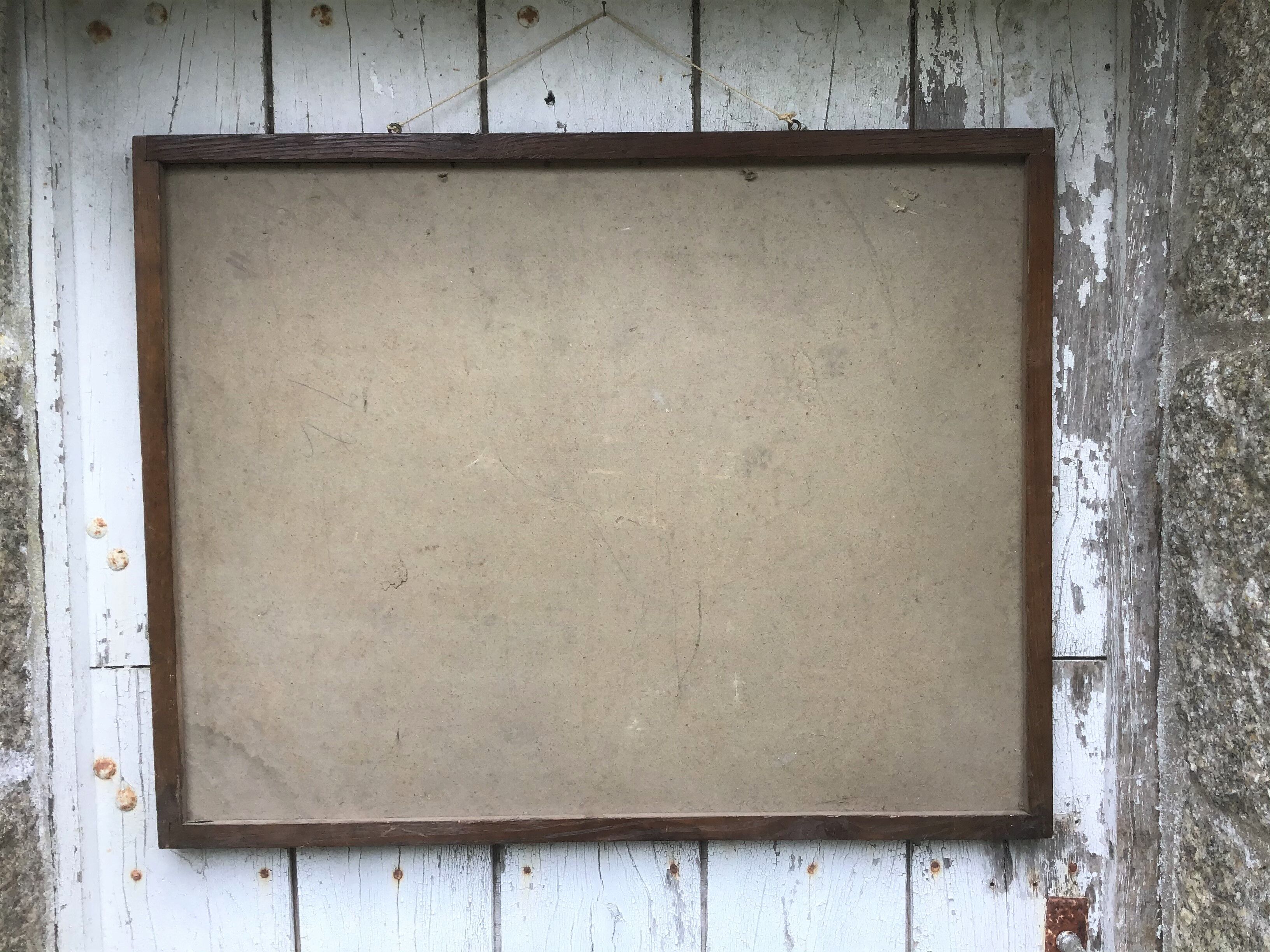 Bouasse-Lebel educational plank at the end of the 19th century Table of the Zoology Preparer Art to stuff