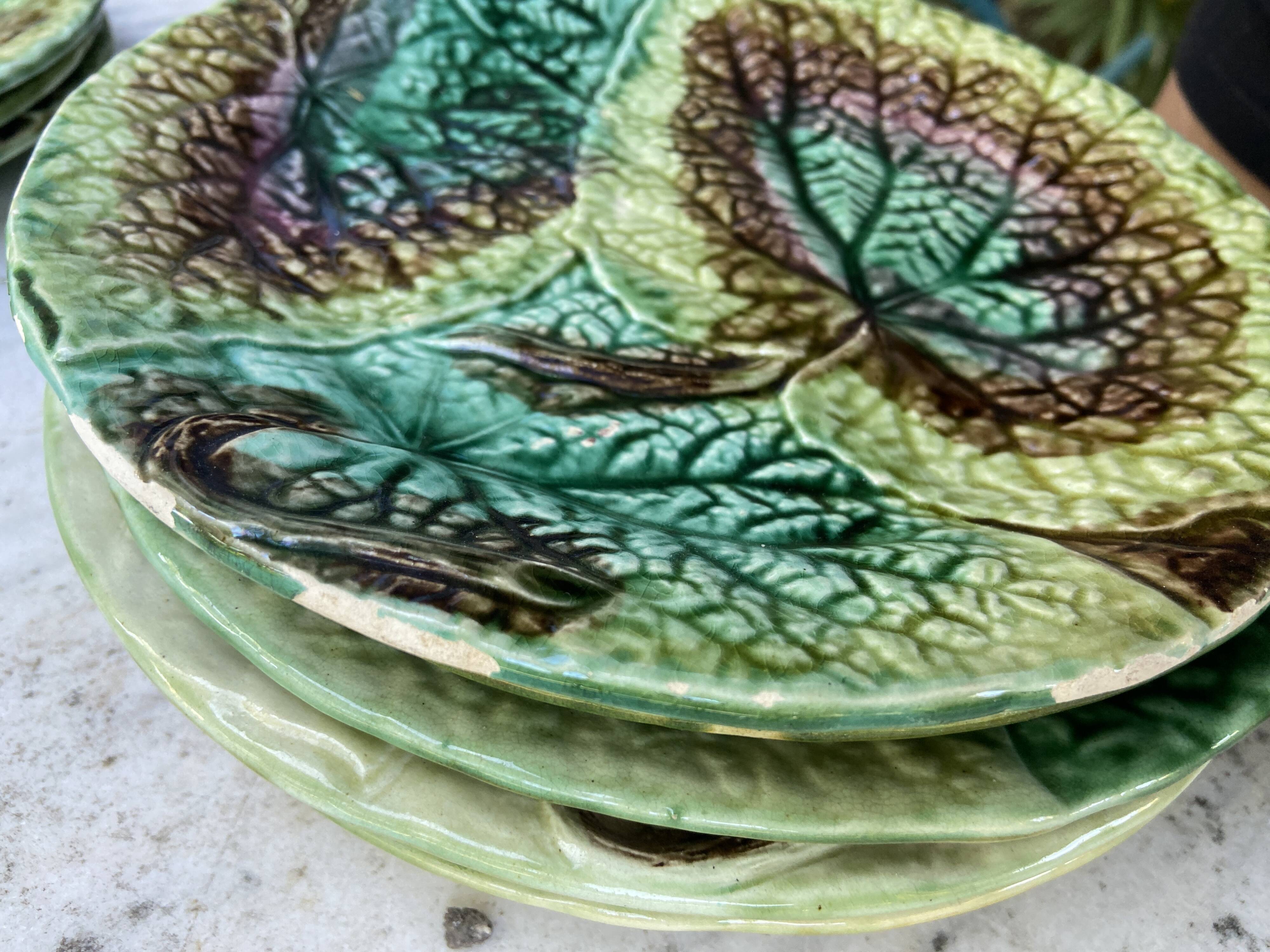 Set 8 slush plates with leaf decoration