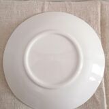 Lot of 6 flat plates in earthenware