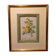 Planche botanique rosier jaune de souffre avec cadre bois doré vintage