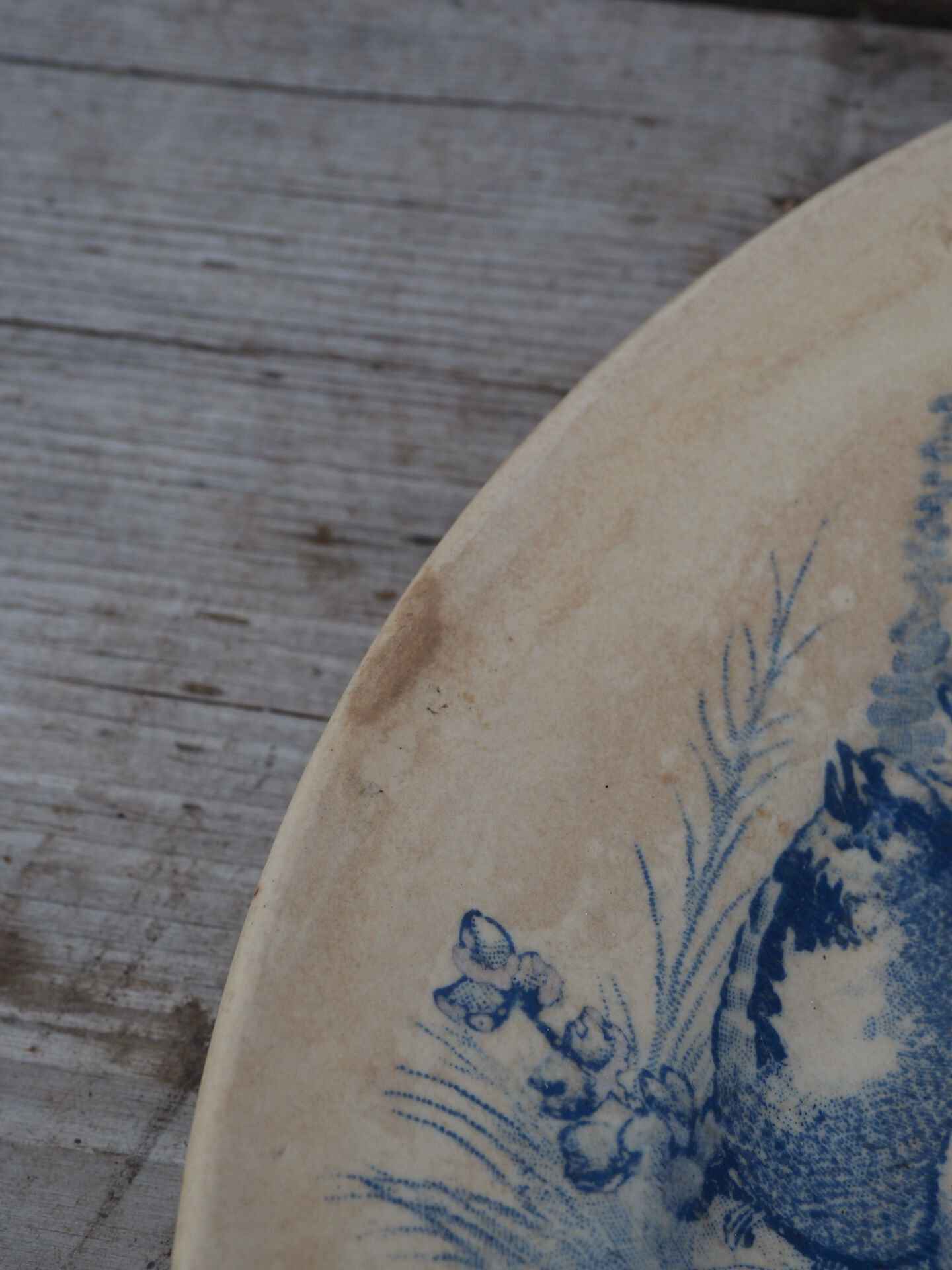Plate dish Jules Vieillard, 1870