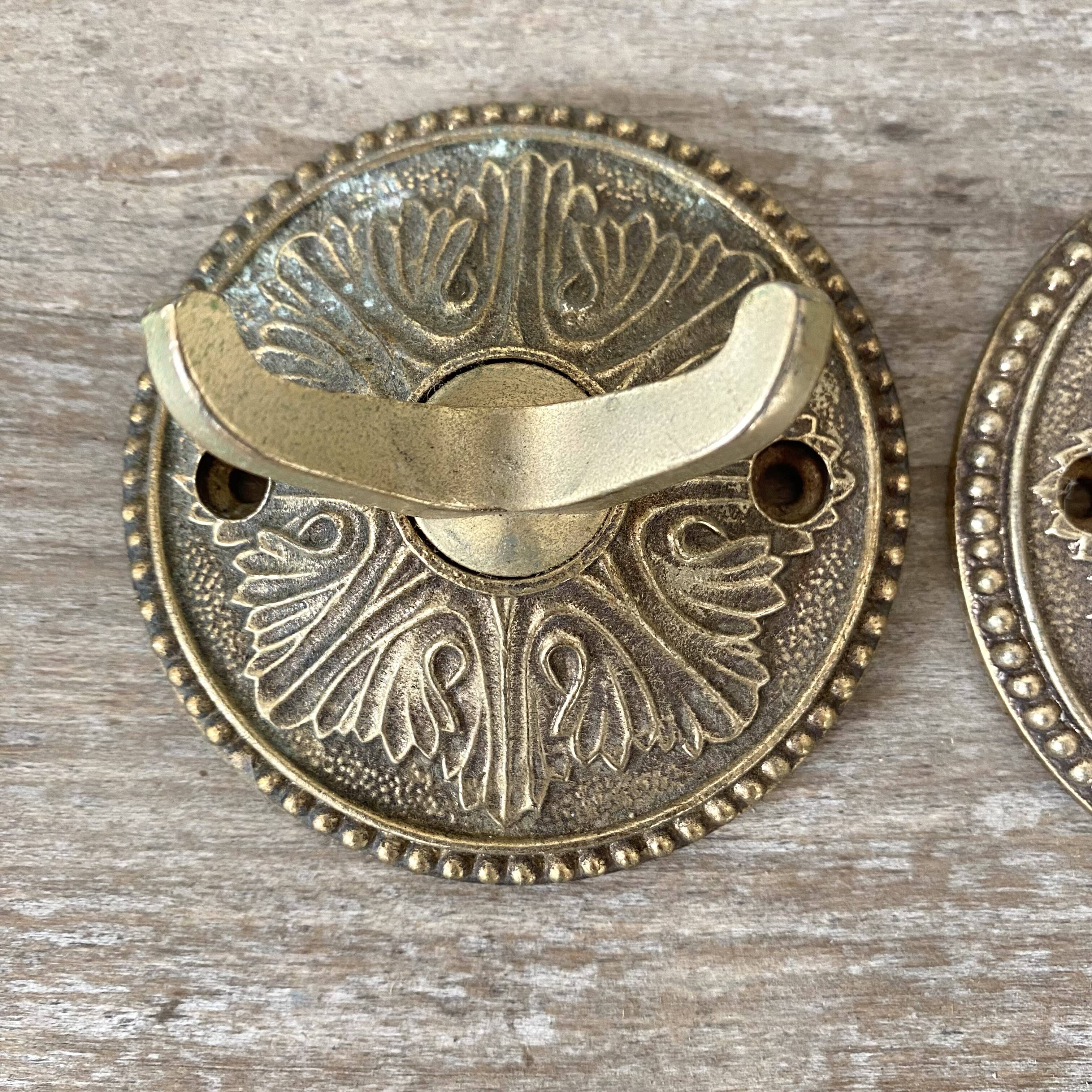 Double brass coat hooks