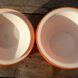 orange Apple ice bucket