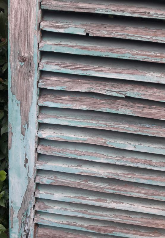Pair of louvered shutters H220xW120cm