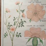 Vintage school poster