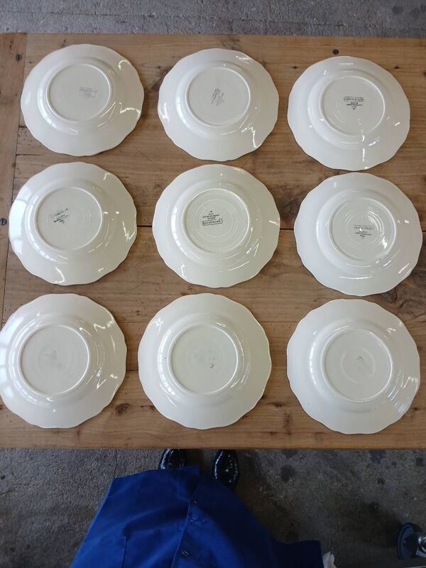 9 assiettes plates anciennes Digoin Sarreguemines