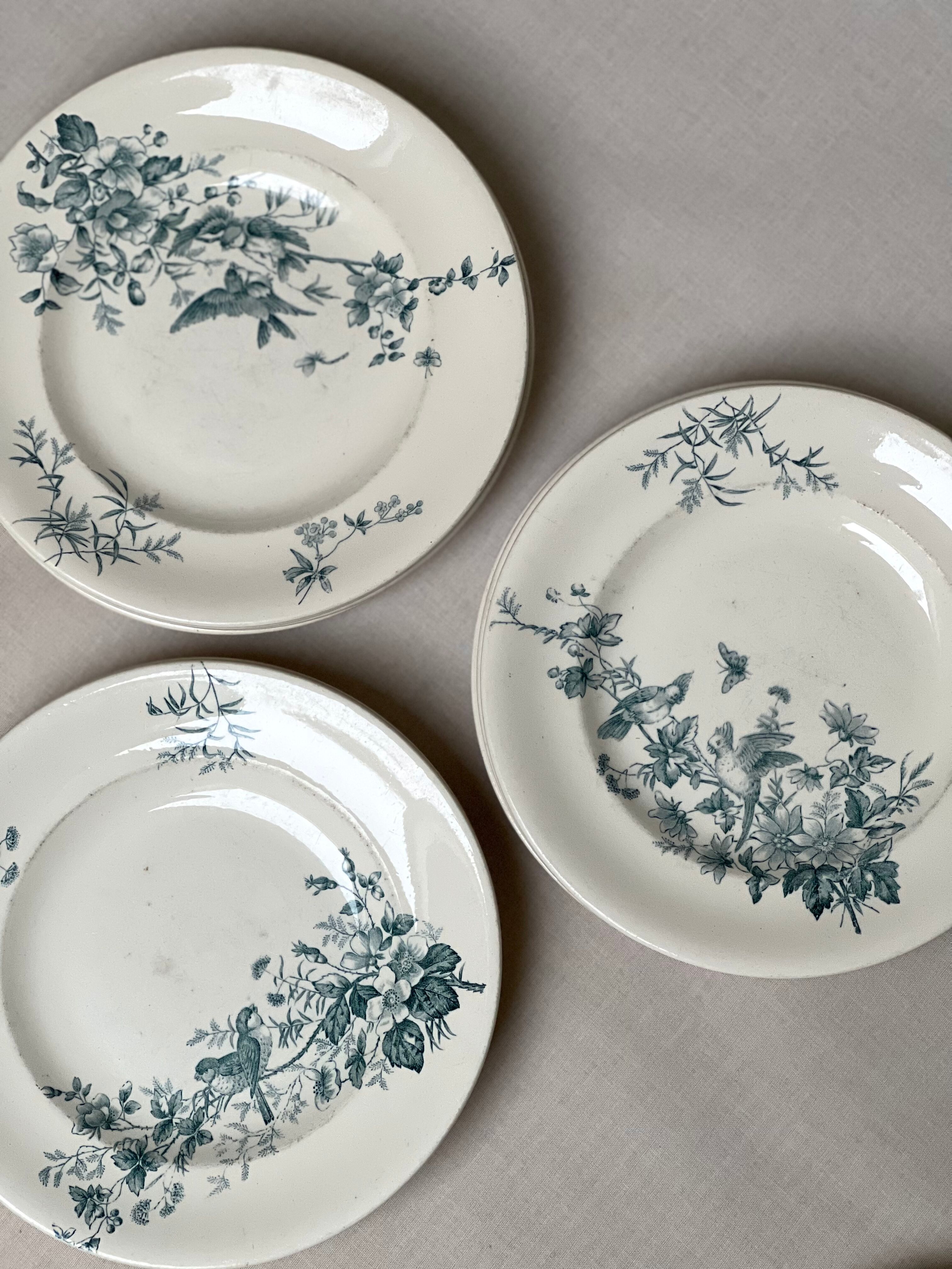 Iron earth plates birds Longwy