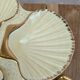 Présentoir coquillage vintage Siloa Paris + 2 coquilles