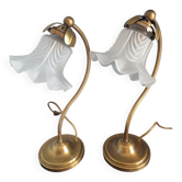 Set of two vintage gooseneck lamps