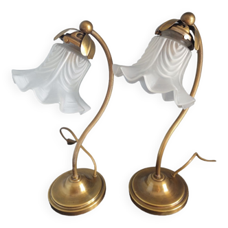 Set of two vintage gooseneck lamps