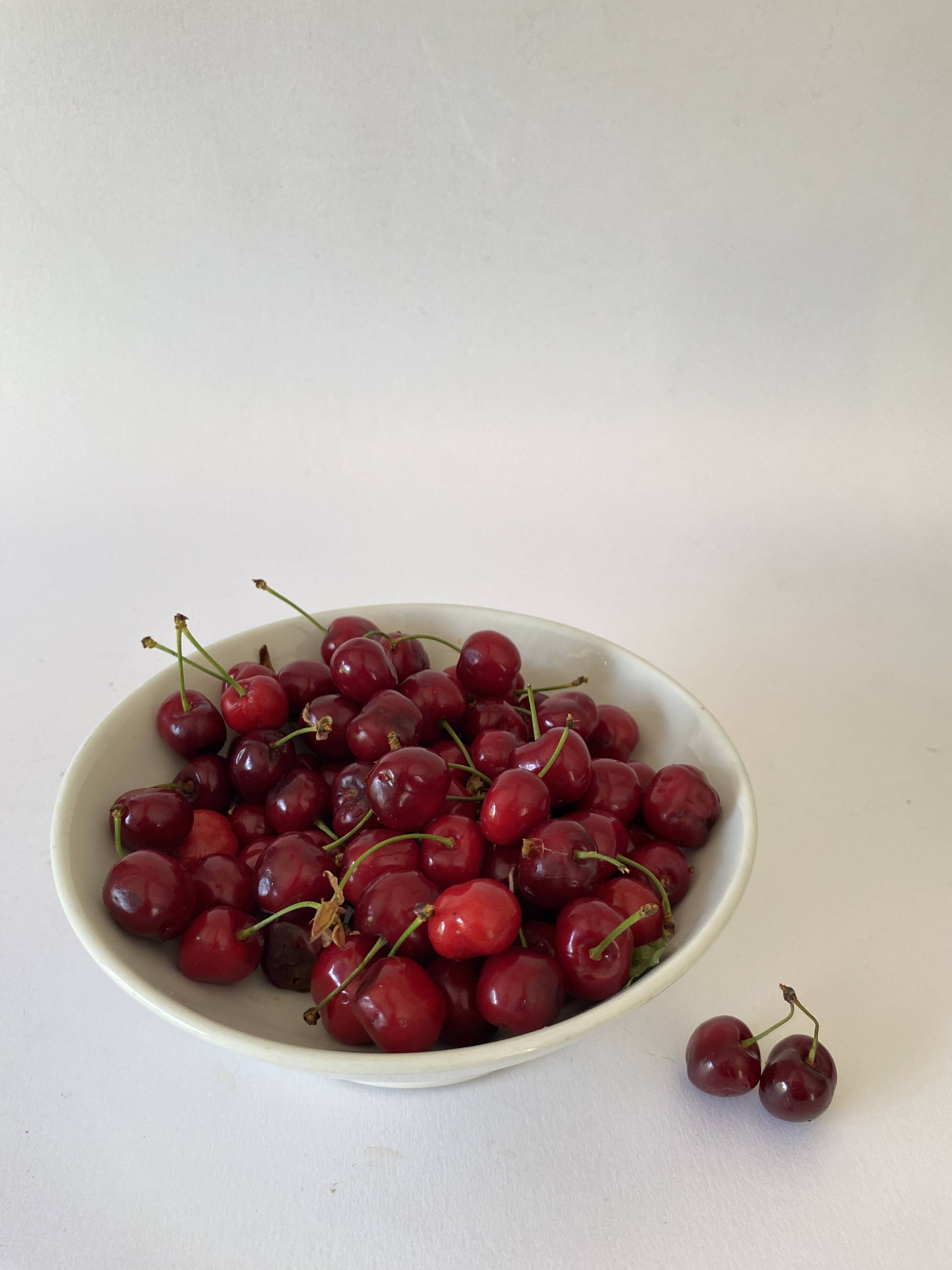 Gustavian style dish, stamped earthenware